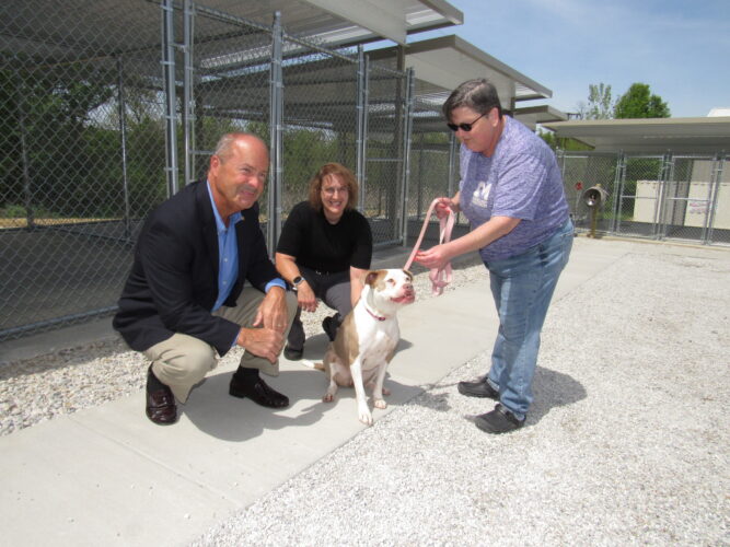 Marshall County Animal Shelter’s New $450K Dog Kennel Run Project Is Complete